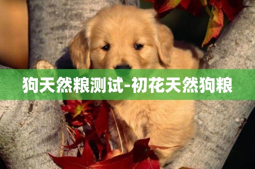 狗天然糧測試-初花天然狗糧