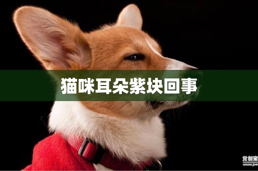貓咪耳朵紫塊回事