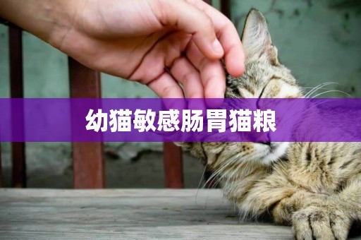 幼貓敏感腸胃貓糧