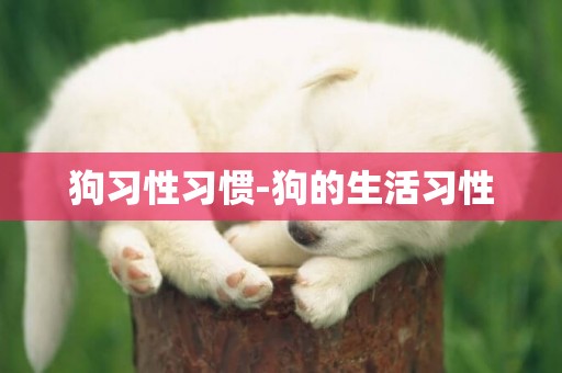 狗習性習慣-狗的生活習性