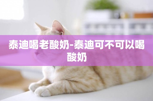 泰迪喝老酸奶-泰迪可不可以喝酸奶