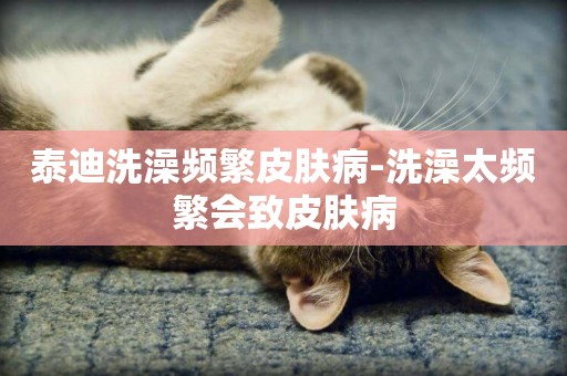 泰迪洗澡頻繁皮膚病-洗澡太頻繁會致皮膚病
