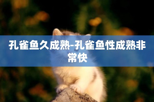 孔雀魚久成熟-孔雀魚性成熟非常快
