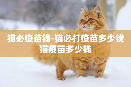 貓必疫苗錢-貓必打疫苗多少錢貓疫苗多少錢