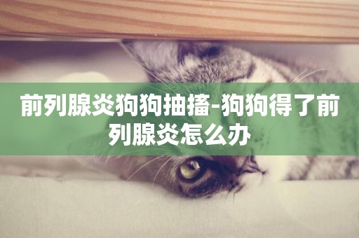 前列腺炎狗狗抽搐-狗狗得了前列腺炎怎么辦