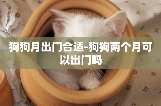狗狗月出門合適-狗狗兩個月可以出門嗎