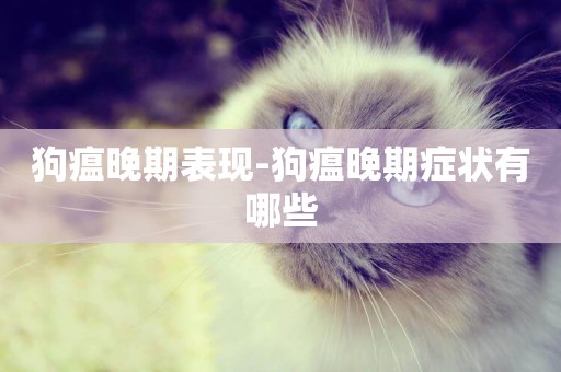 狗瘟晚期表現-狗瘟晚期癥狀有哪些