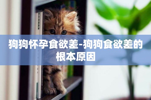 狗狗懷孕食欲差-狗狗食欲差的根本原因
