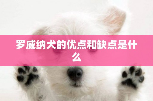 羅威納犬的優點和缺點是什么