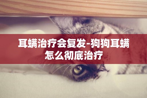 耳螨治療會復發-狗狗耳螨怎么徹底治療