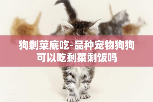 狗剩菜底吃-品種寵物狗狗可以吃剩菜剩飯嗎