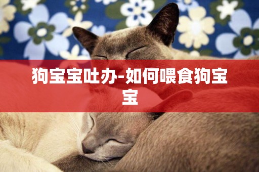 狗寶寶吐辦-如何喂食狗寶寶