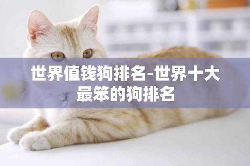 世界值錢狗排名-世界十大最笨的狗排名