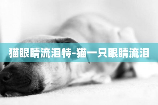 貓眼睛流淚特-貓一只眼睛流淚