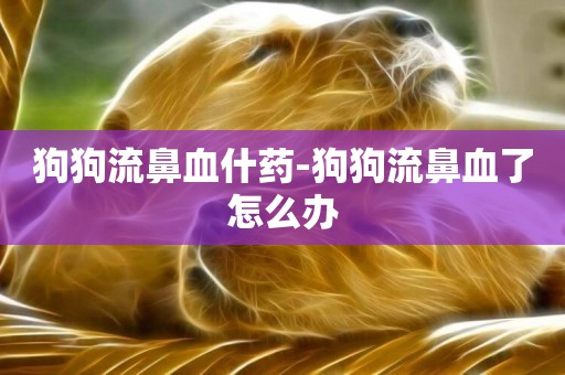 狗狗流鼻血什藥-狗狗流鼻血了怎么辦
