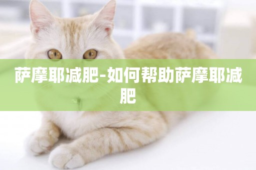 薩摩耶減肥-如何幫助薩摩耶減肥