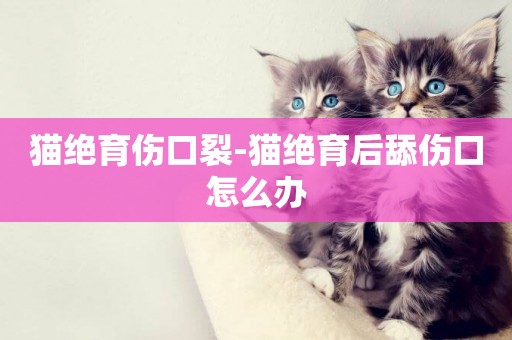 貓絕育傷口裂-貓絕育后舔傷口怎么辦