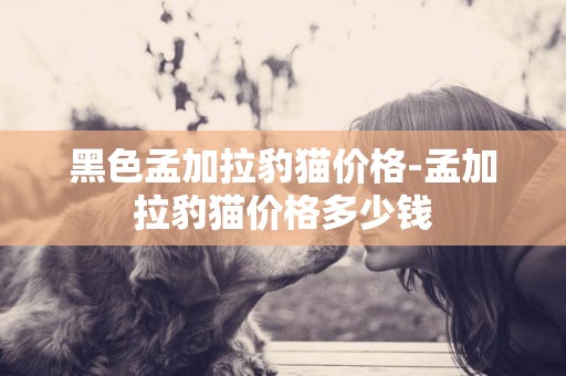 黑色孟加拉豹貓價格-孟加拉豹貓價格多少錢