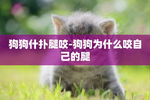 狗狗什撲腿咬-狗狗為什么咬自己的腿