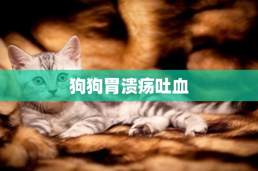 狗狗胃潰瘍吐血