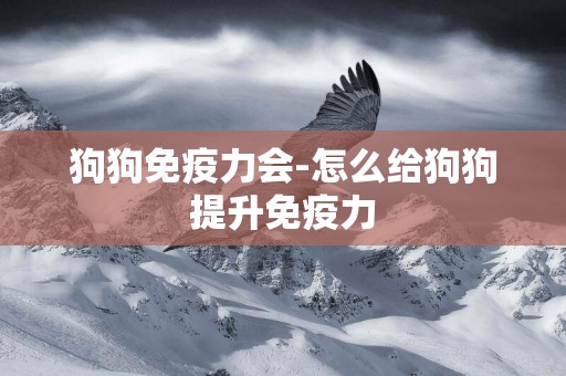 狗狗免疫力會-怎么給狗狗提升免疫力