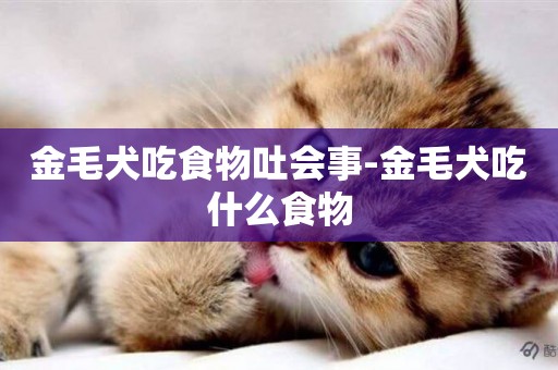 金毛犬吃食物吐會事-金毛犬吃什么食物