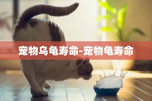 寵物烏龜壽命-寵物龜壽命