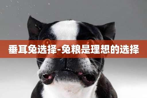 垂耳兔選擇-兔糧是理想的選擇