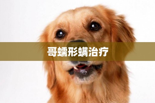 哥蠕形螨治療