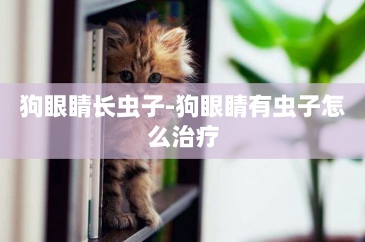 狗眼睛長蟲子-狗眼睛有蟲子怎么治療