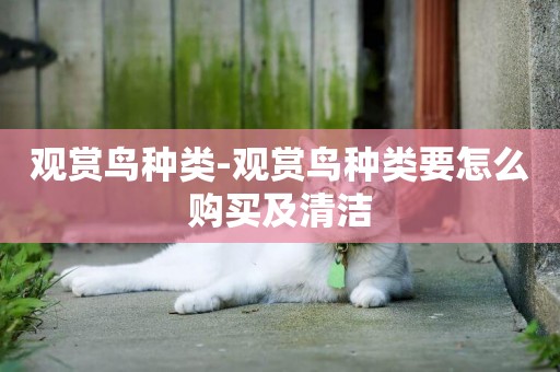 觀賞鳥種類-觀賞鳥種類要怎么購買及清潔