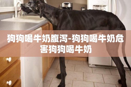狗狗喝牛奶腹瀉-狗狗喝牛奶危害狗狗喝牛奶