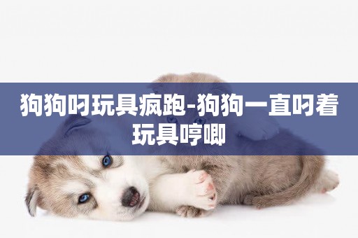 狗狗叼玩具瘋跑-狗狗一直叼著玩具哼唧