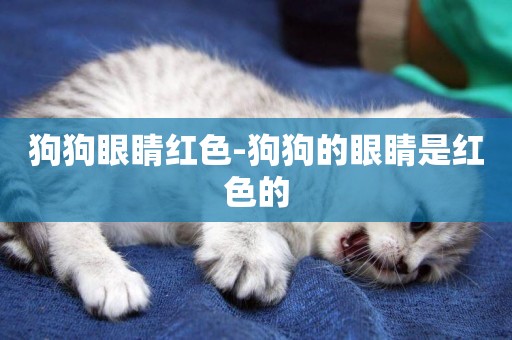 狗狗眼睛紅色-狗狗的眼睛是紅色的