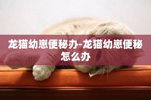 龍貓幼崽便秘辦-龍貓幼崽便秘怎么辦