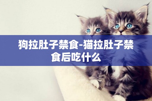 狗拉肚子禁食-貓拉肚子禁食后吃什么