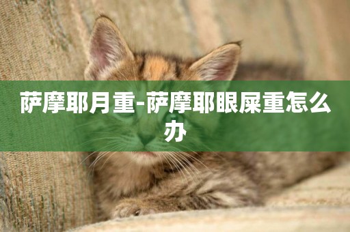 薩摩耶月重-薩摩耶眼屎重怎么辦