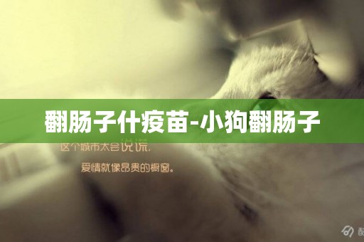 翻腸子什疫苗-小狗翻腸子