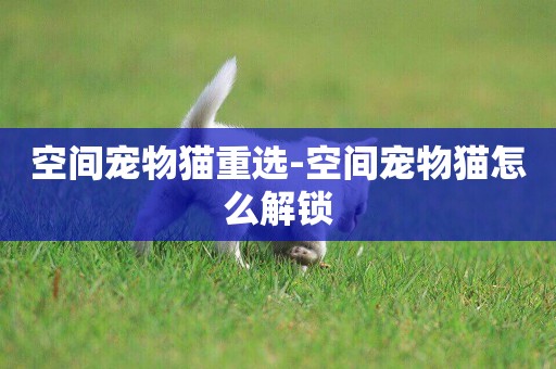 空間寵物貓重選-空間寵物貓怎么解鎖