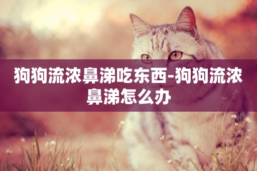 狗狗流濃鼻涕吃東西-狗狗流濃鼻涕怎么辦