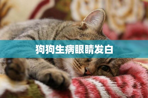 狗狗生病眼睛發白