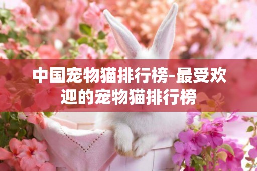 中國寵物貓排行榜-最受歡迎的寵物貓排行榜