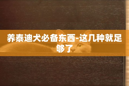 養泰迪犬必備東西-這幾種就足夠了