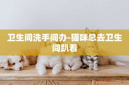 衛生間洗手間辦-貓咪總去衛生間趴著
