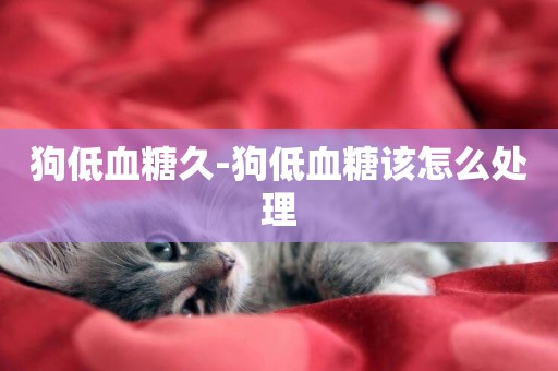 狗低血糖久-狗低血糖該怎么處理