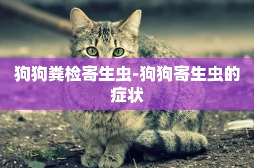 狗狗糞檢寄生蟲-狗狗寄生蟲的癥狀