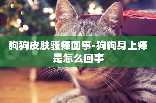 狗狗皮膚騷癢回事-狗狗身上癢是怎么回事