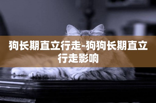 狗長期直立行走-狗狗長期直立行走影響