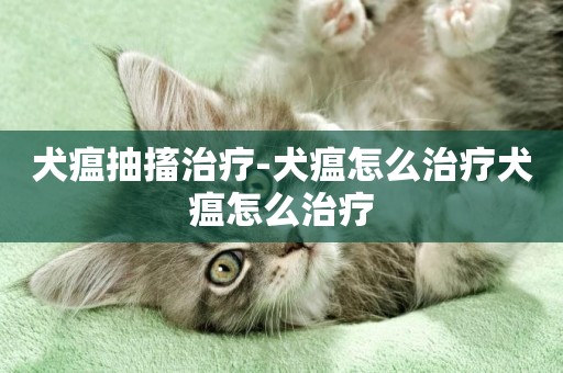 犬瘟抽搐治療-犬瘟怎么治療犬瘟怎么治療