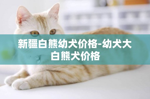 新疆白熊幼犬價格-幼犬大白熊犬價格